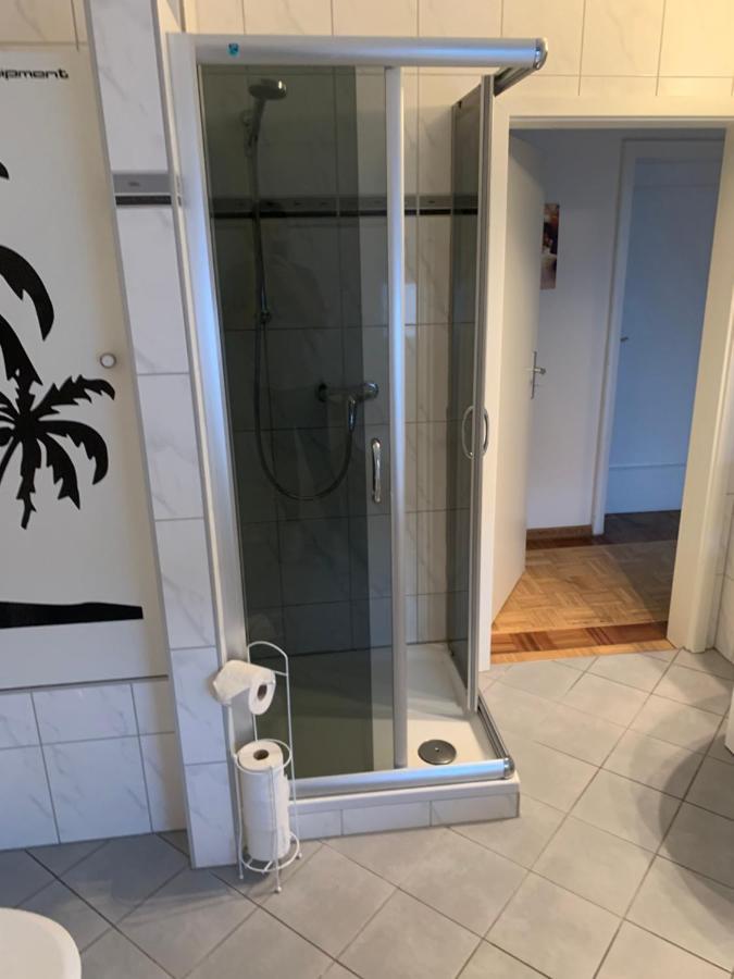 Mainpark Apartment 4 Schlafzimmer Bis Zu 10 Personen Direkt Ueber Aschaffapartment Bei Aschaffenburg Mainaschaff Eksteriør billede